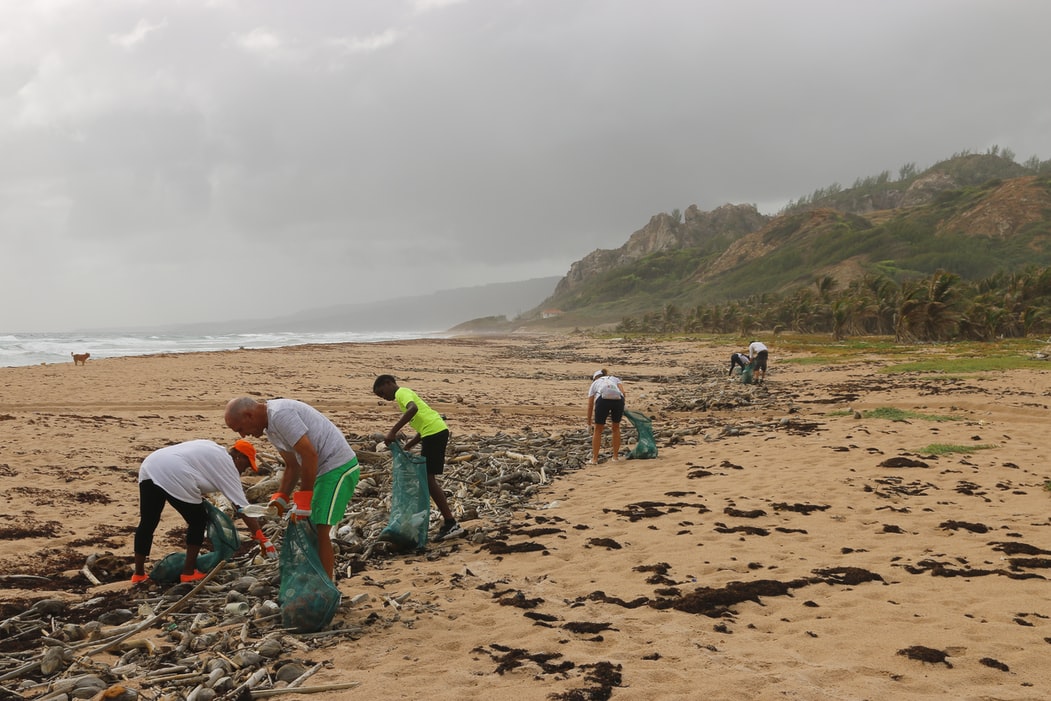 Corporate social responsibility efforts - cleaning a beach